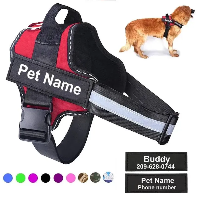 Custom Dog Harness with Name Tag